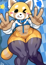 aggretsuko_retsuko-hentai-012