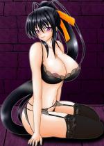 high-school-dxd_akeno-himejima-hentai-018