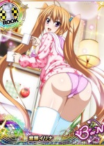 high-school-dxd_irina-shidou-hentai-011