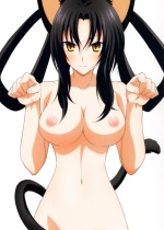 high-school-dxd_kuroka-toujou-hentai-001