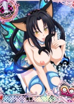 high-school-dxd_kuroka-toujou-hentai-010