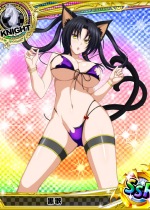 high-school-dxd_kuroka-toujou-hentai-011