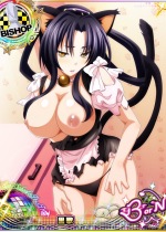 high-school-dxd_kuroka-toujou-hentai-012