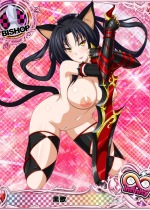 high-school-dxd_kuroka-toujou-hentai-025