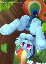 mon-petit-poney_rainbow-dash-hentai-018