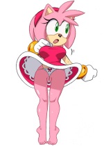 sonic_amy-rose-hentai-015