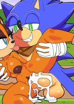 sonic_sticks-the-badger-hentai-017