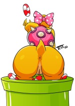 super-mario_wendy-o-koopa-hentai-034