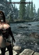 the-elder-scrolls-5-skyrim_aela-hentai-009