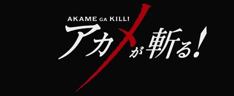 Akame Ga Kill! hentai